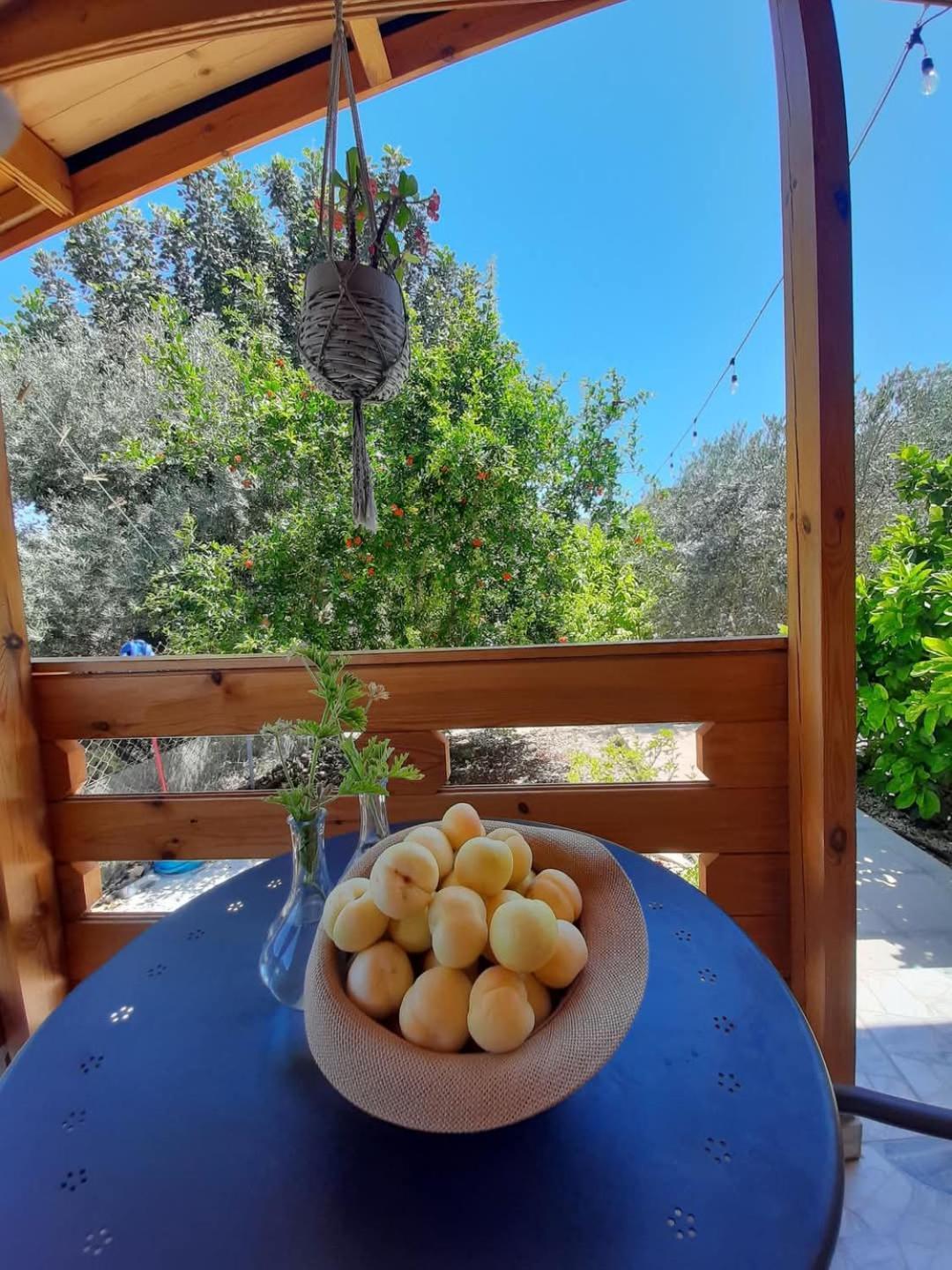 Happy Glamping Cy Villa Agios Theodoros Exterior photo